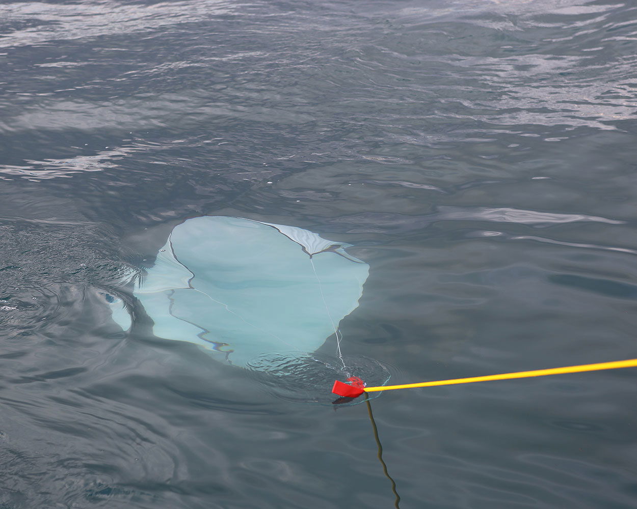 Catch & Lift redningssystem med kastelinje montert