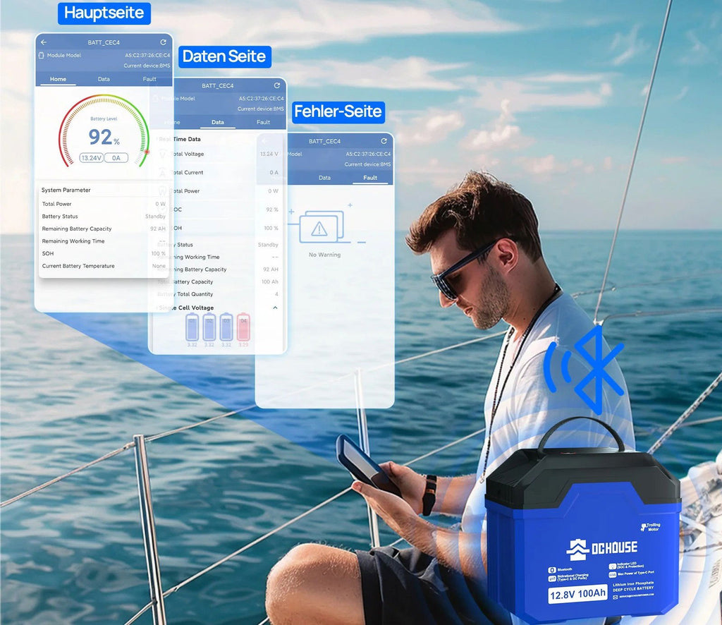 Oversikt over LiFePO4 batteri 12V 100Ah med Bluetooth funksjoner