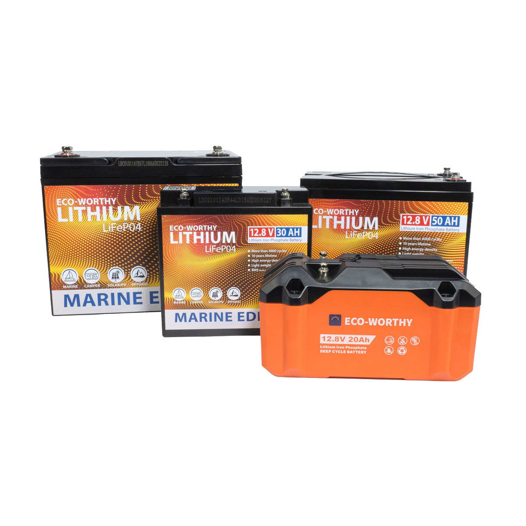 Litium LiFePO4 batteri 12V 20 Ah 256 wattimer 2,2 kg - Eco Worthy merking