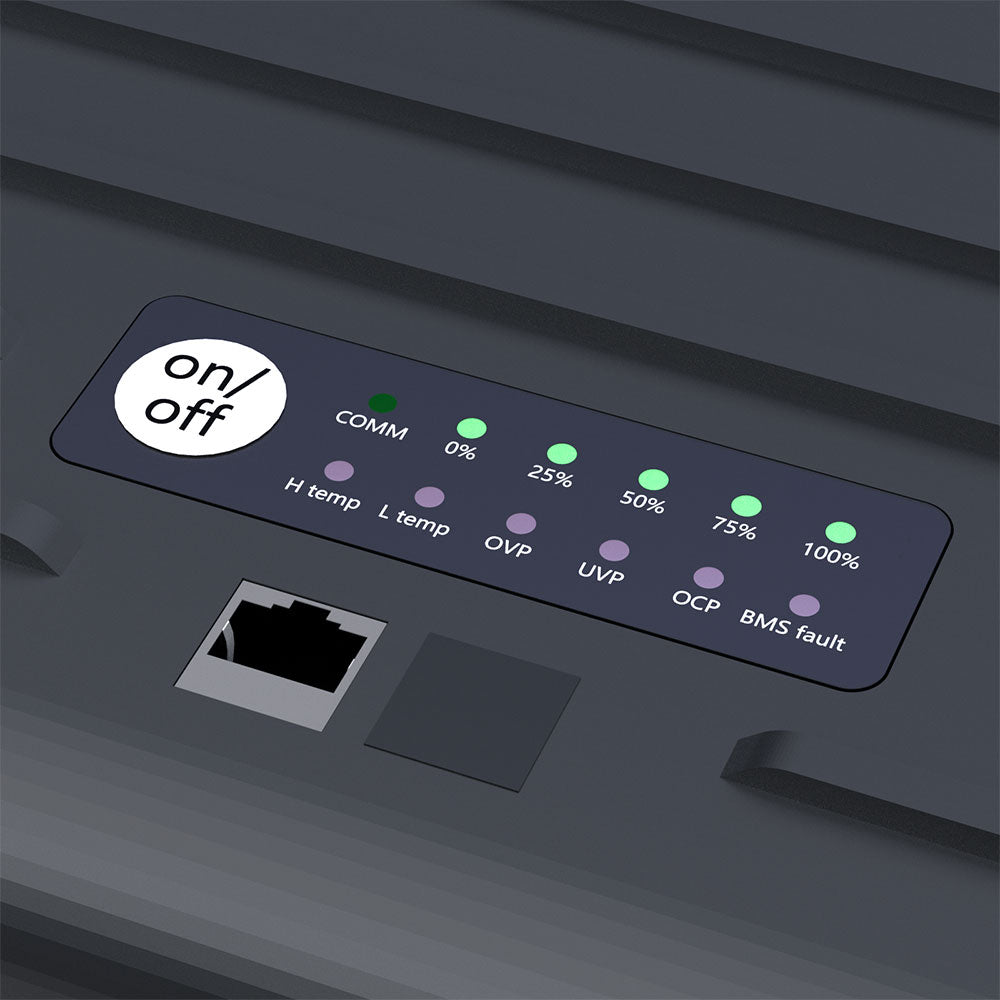 LiFePO4 litiumbatteri 12V 100 Ah 1,28 kWh 10,6 kg - Eco Worthy bakside