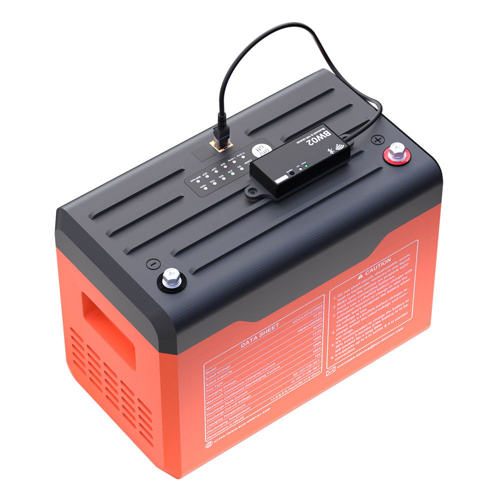 LiFePO4 litiumbatteri 12V 100 Ah 1,28 kWh 10,6 kg - Eco Worthy nærbilde