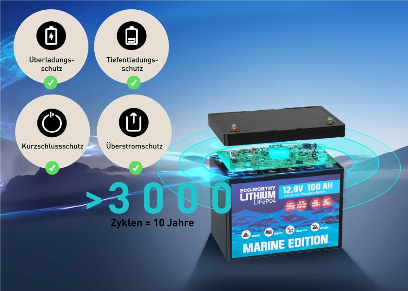 Marine litiumbatteri LiFePO4 12V 100 Ah - ECO WORTHY nærbilde