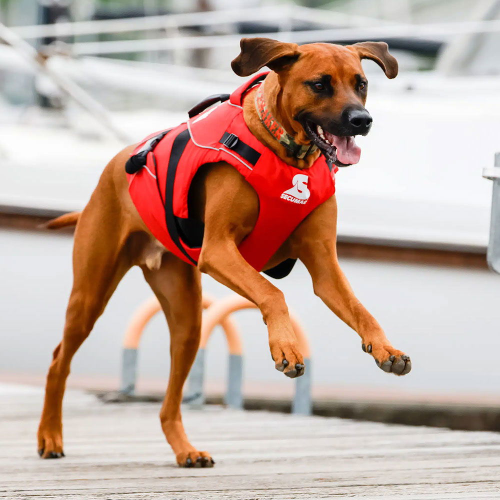 Detaljbilde av Secudogs hundevest 34-49 cm bryst med refleks