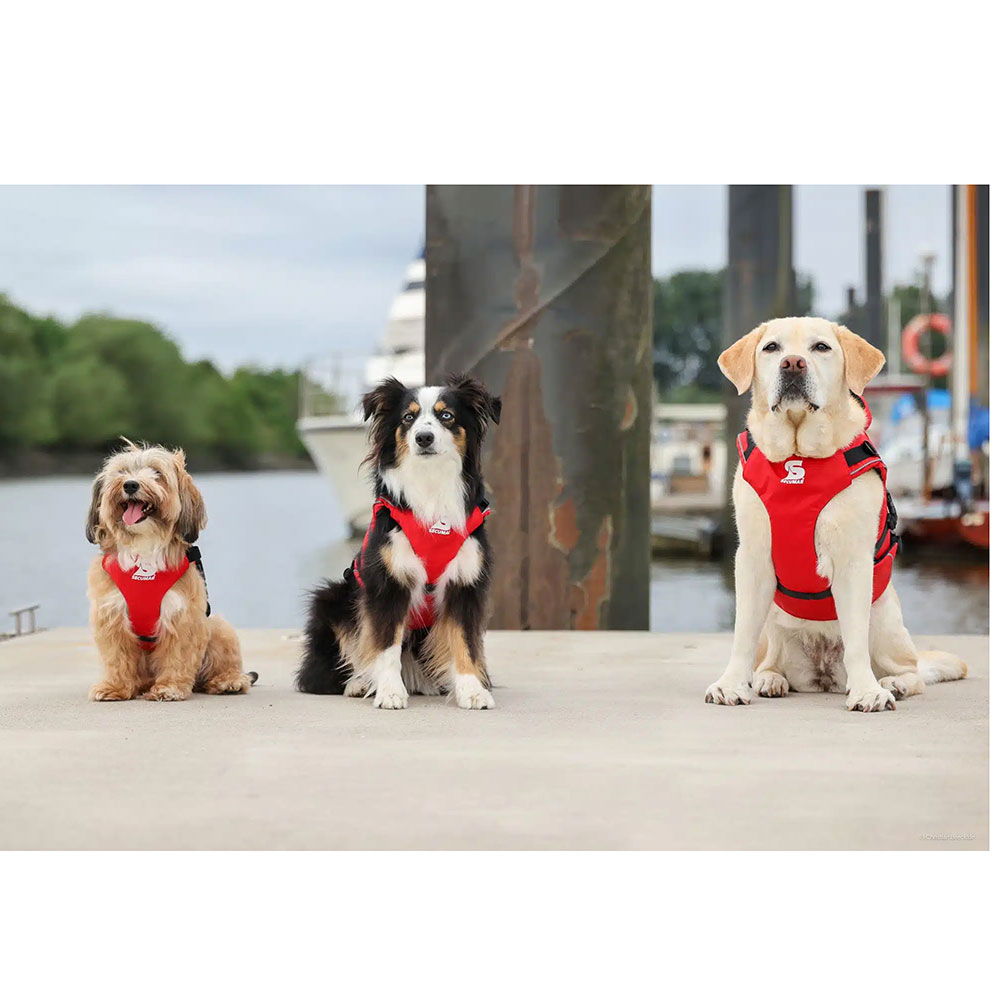 Secudogs hundevest 34-49 cm bryst med refleks montert på hund